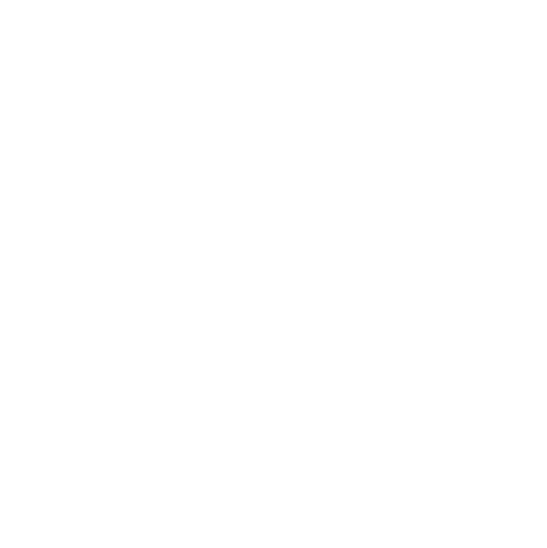 Logo-betongost-01
