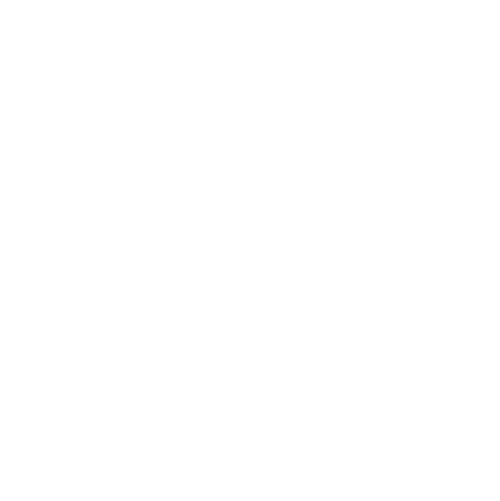 Logo-nfmg